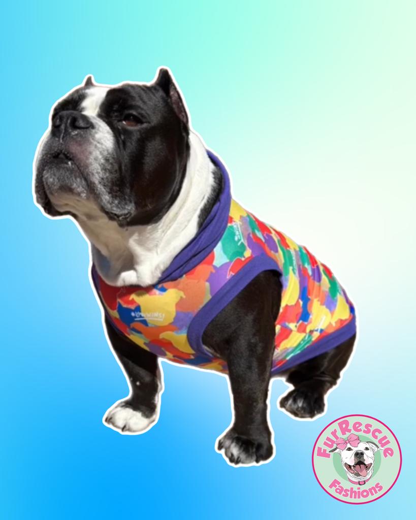 Pittie Camo Love Wins – Dog Pajama with Purple Neck & Trim/Sleeves