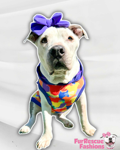 Pittie Camo Love Wins – Dog Pajama with Purple Neck & Trim/Sleeves