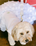 Wedding Dog Gown WITH Attachable Train