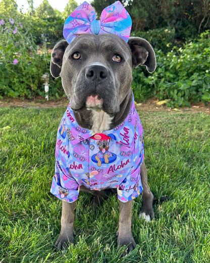 Live, Love, Leis  (Purple) - PAWjama with Fuchsia Trim