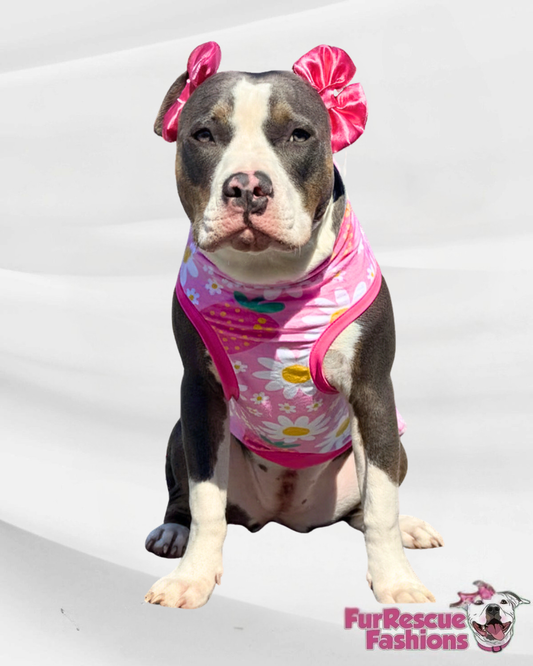 Daisy Strawberry Pajama with Hot Pink  Neck & Trim/Sleeves