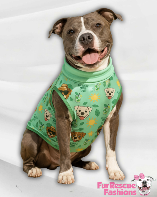 Mint To Be Dog Pajama with Black or Green Trim