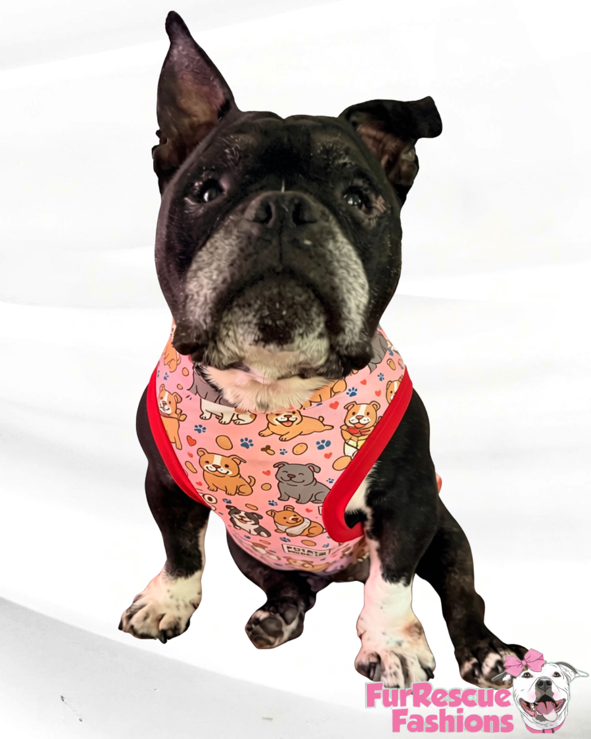 Potato Squad Pink – Dog Pajama with Red Neck & Trim/Sleeves