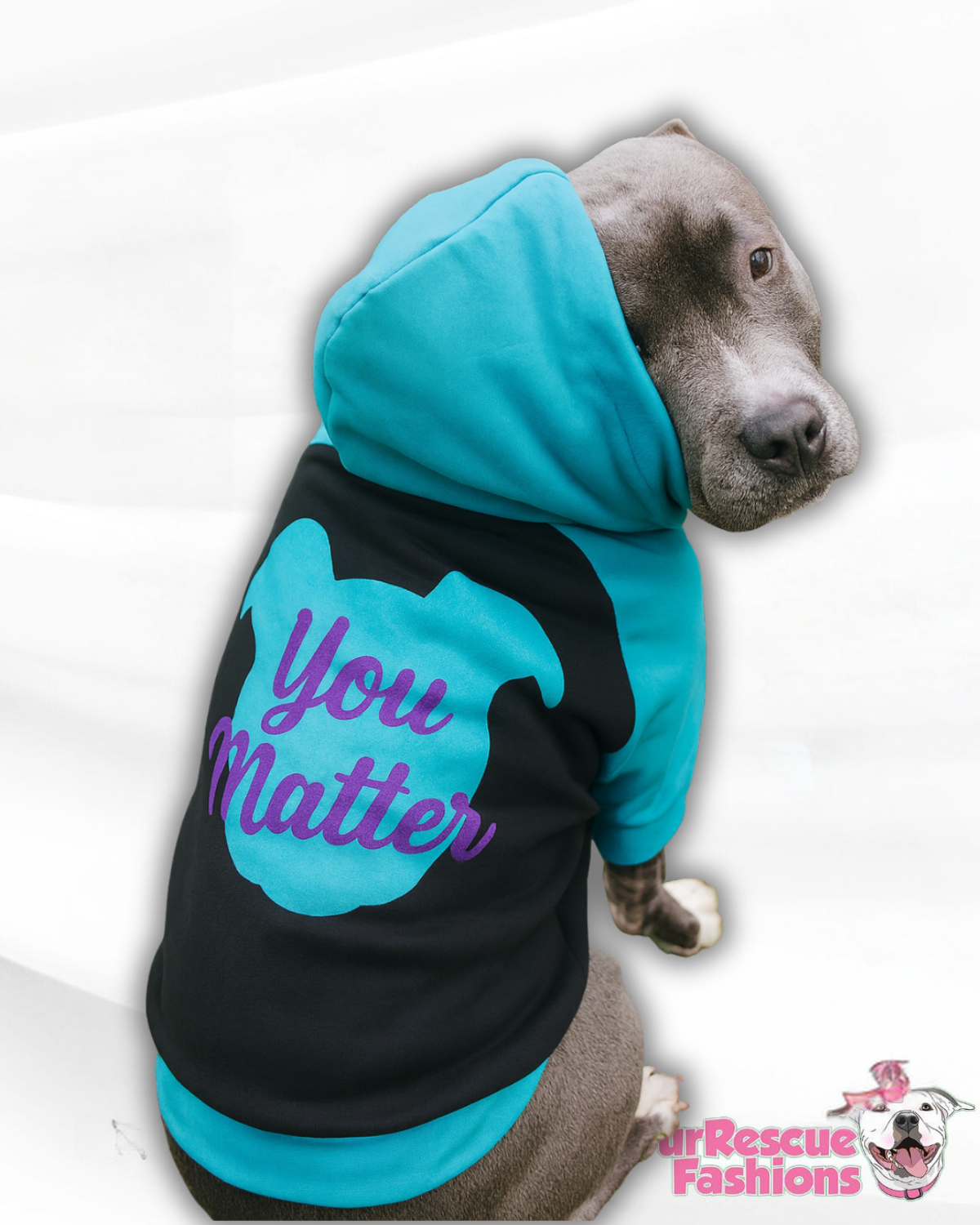 You Matter Dog Hoodie