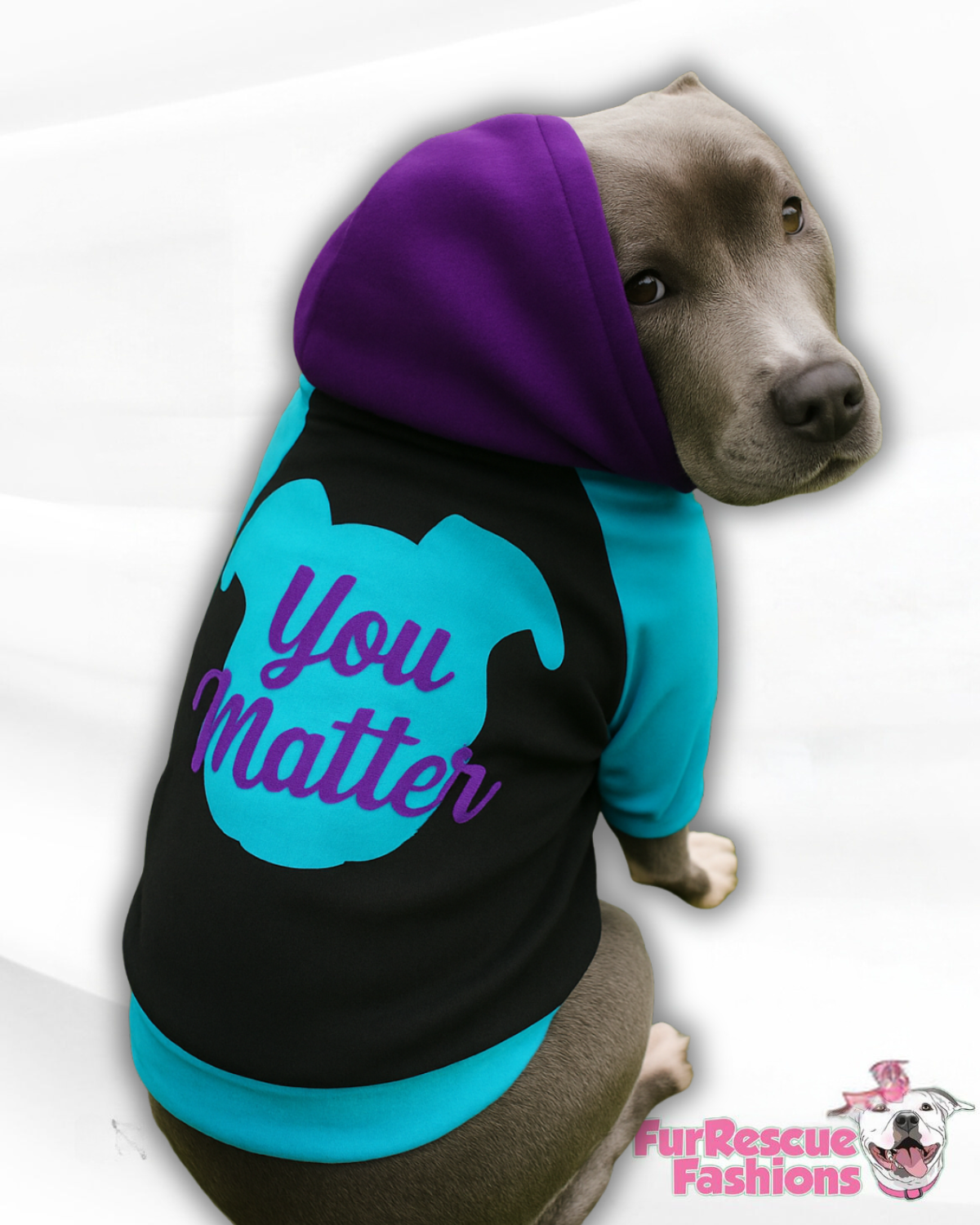You Matter Dog Hoodie