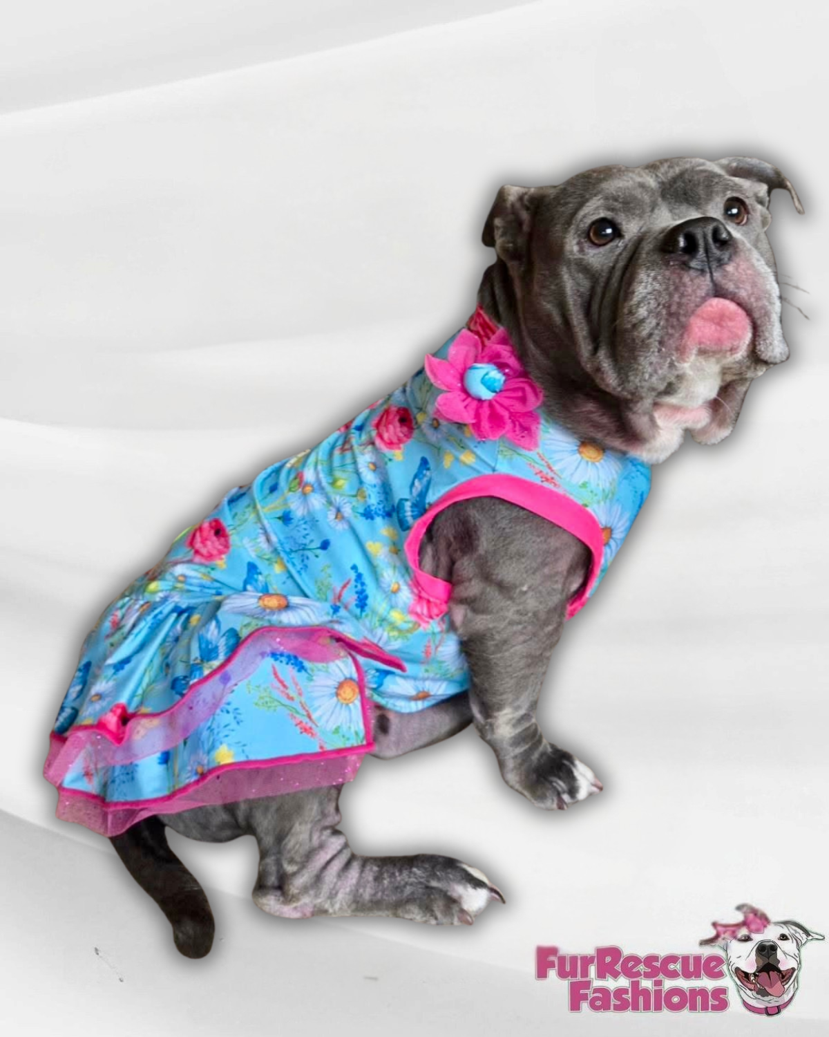 2026 Spring Fancy Ruffle Dress