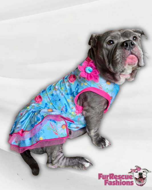 2026 Spring Fancy Ruffle Dress