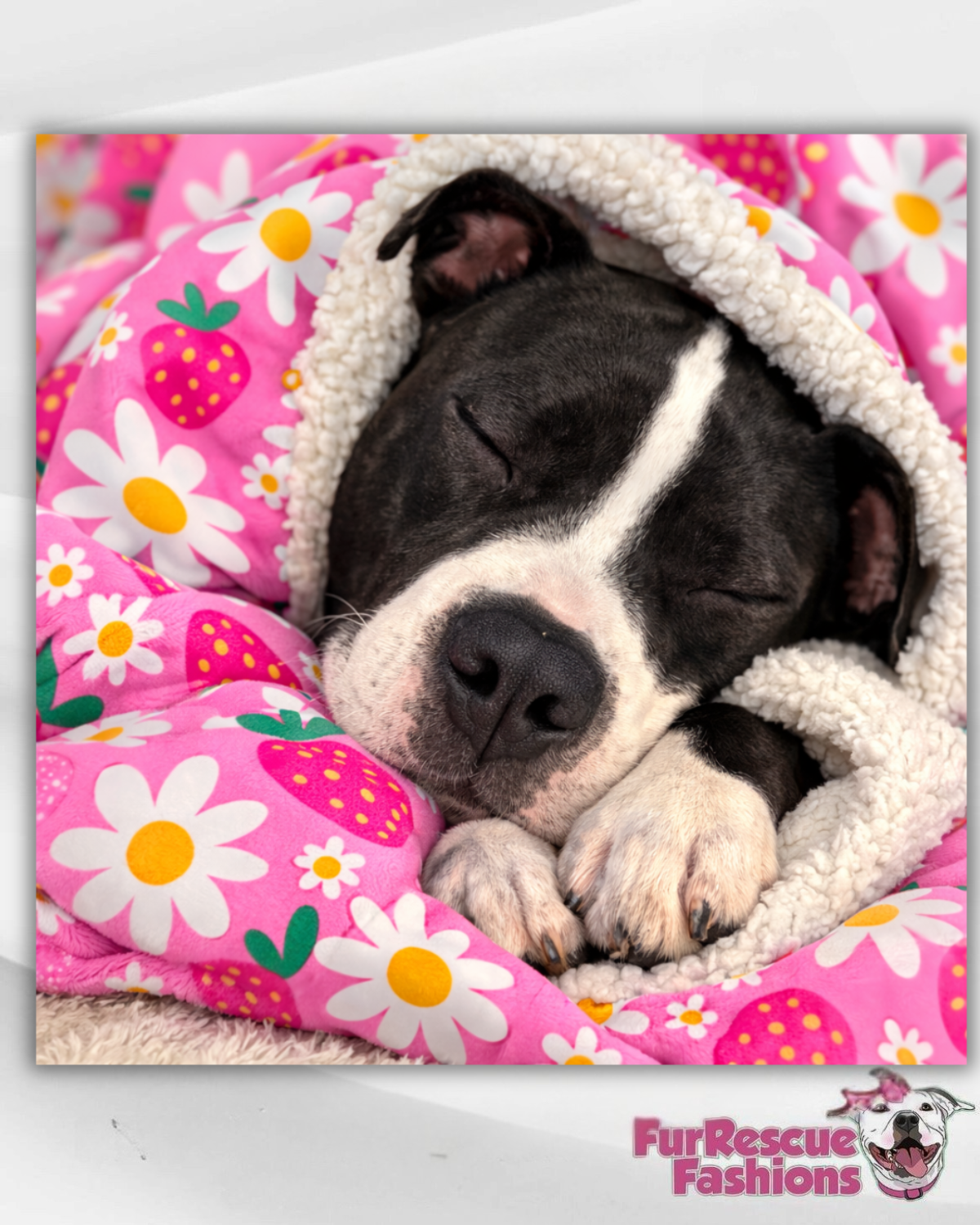 2026 Spring Throw Blanket With Sherpa Lining (Choose your pattern)