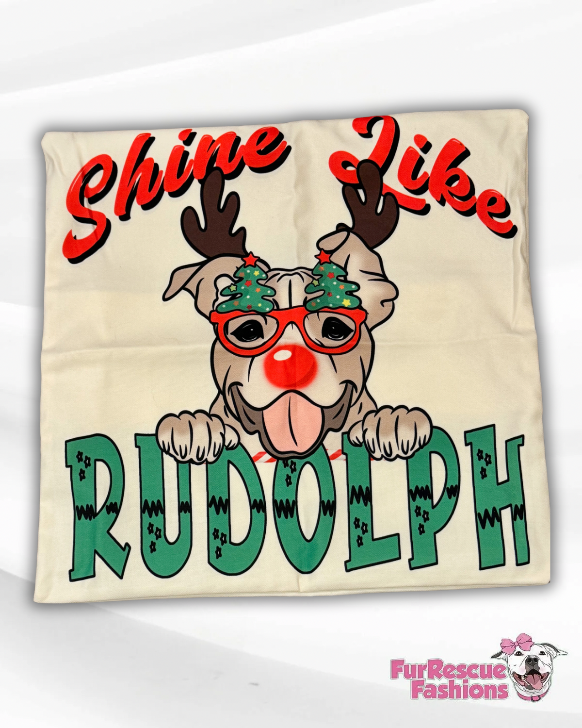 Shine Like Rudolph Outdoor/Indoor Water Proof Throw Pillow Cover 20 x 20