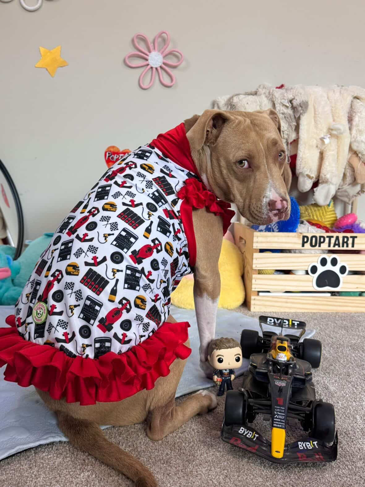 Formula 1 Dog Shirt With Ruffles On the Booty