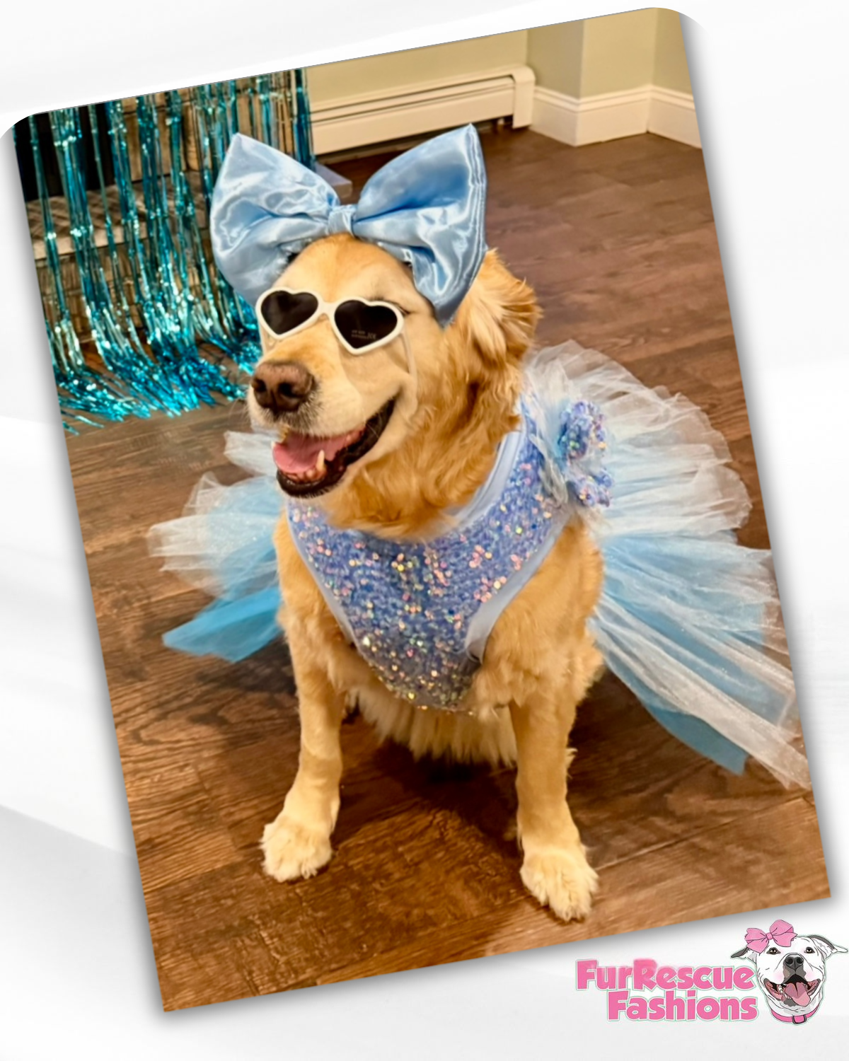 Sparkly Frozen Dog Dress