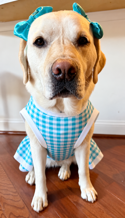 Classic Blue Skies Gingham Dog Shirt/Dress/4-Legged PAWjama (UV50 Fabric)