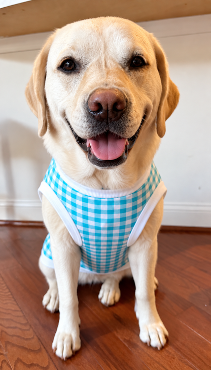 Classic Blue Skies Gingham Dog Shirt/Dress/4-Legged PAWjama (UV50 Fabric)