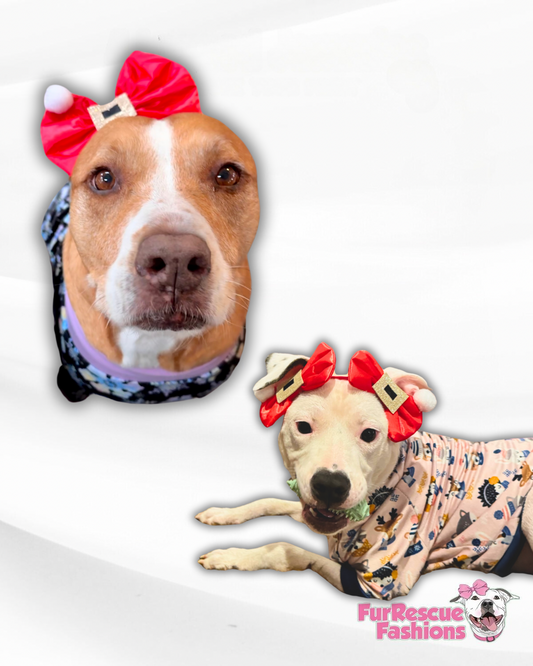 Mrs. Claus Doggie Headbands