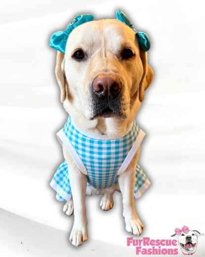 Classic Blue Skies Gingham Dog Shirt/Dress/4-Legged PAWjama (UV50 Fabric)