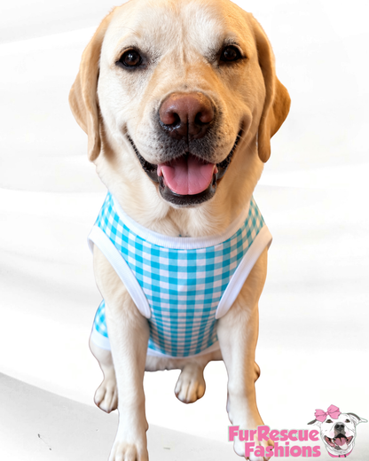 Classic Blue Skies Gingham Dog Shirt/Dress/4-Legged PAWjama (UV50 Fabric)