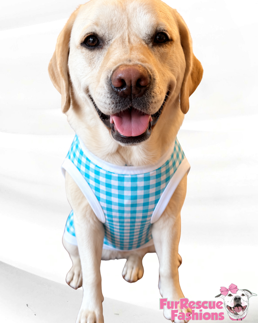 Classic Blue Skies Gingham Dog Shirt/Dress/4-Legged PAWjama (UV50 Fabric)