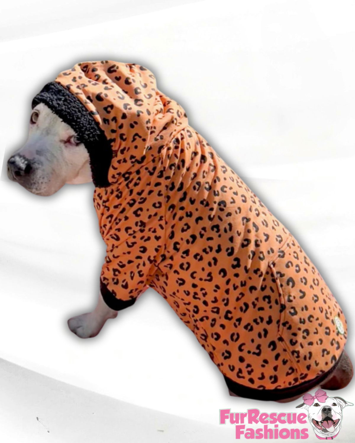 Wild Side Leopard Dog Shirt