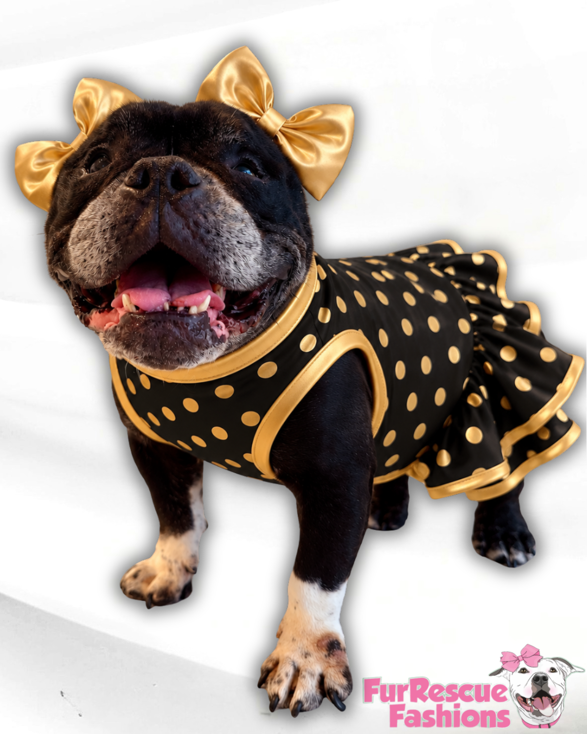 Golden Dots Dog Shirt/Dress/4-Legged PAWjama (UV50 Fabric)