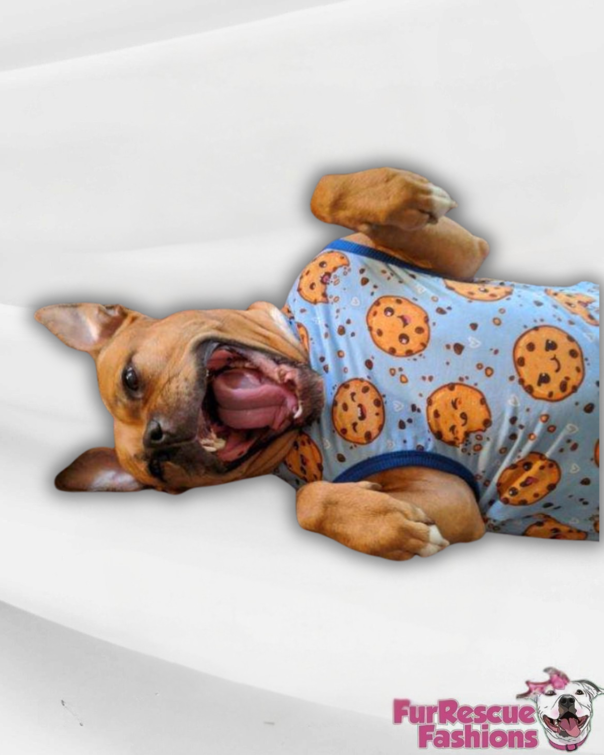 Chocolate Chip With Blue Background - PAWjama with Royal Neck & Trim/Sleeves