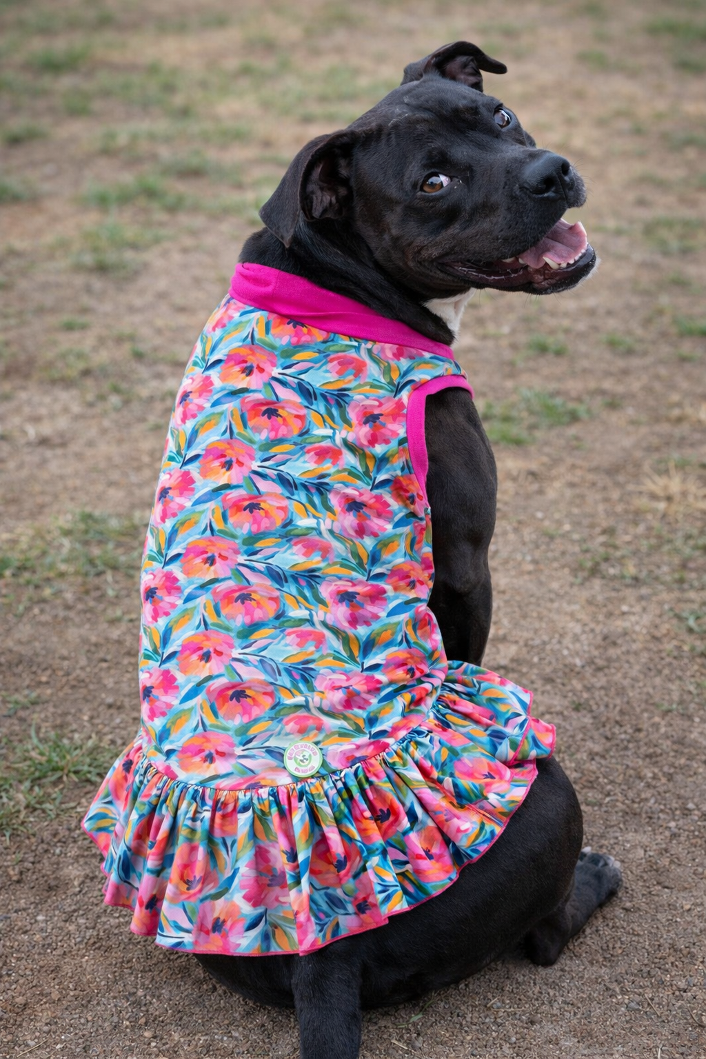 Aquarela Flowers Dog Dress With Ruffle / With Sleeves or Sleeveless