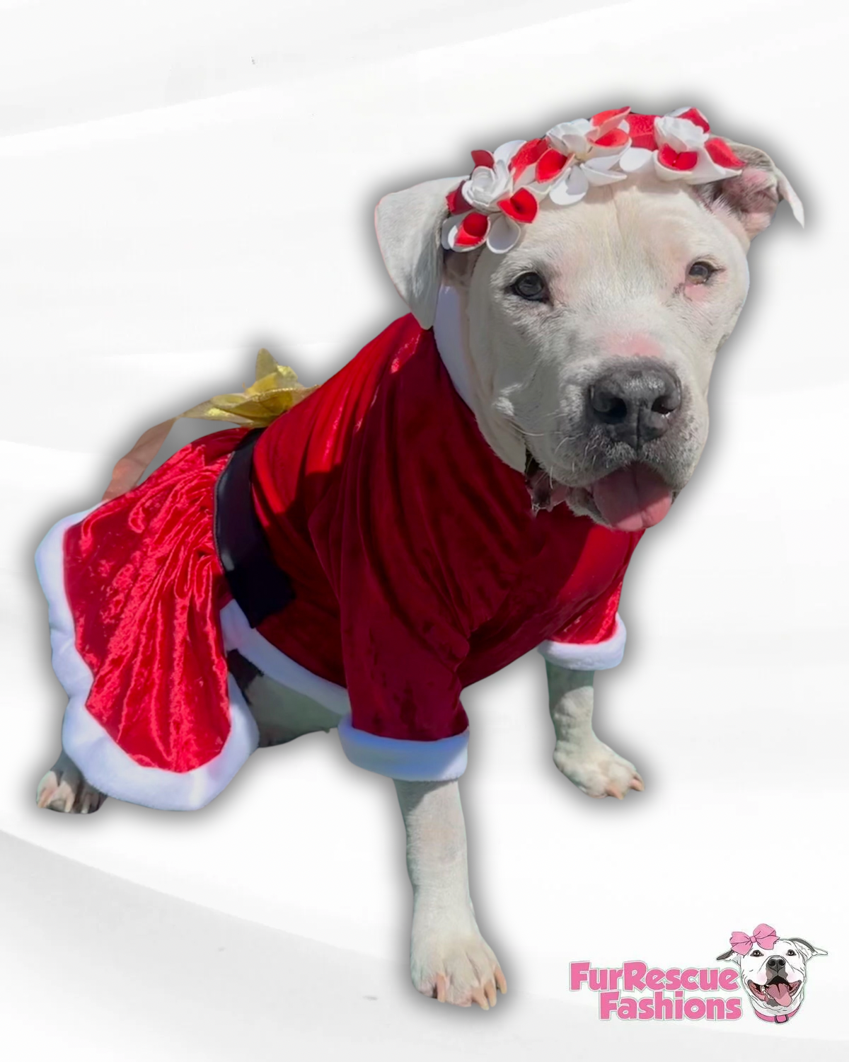 Red Metallic Mrs. Claus Dog Dress