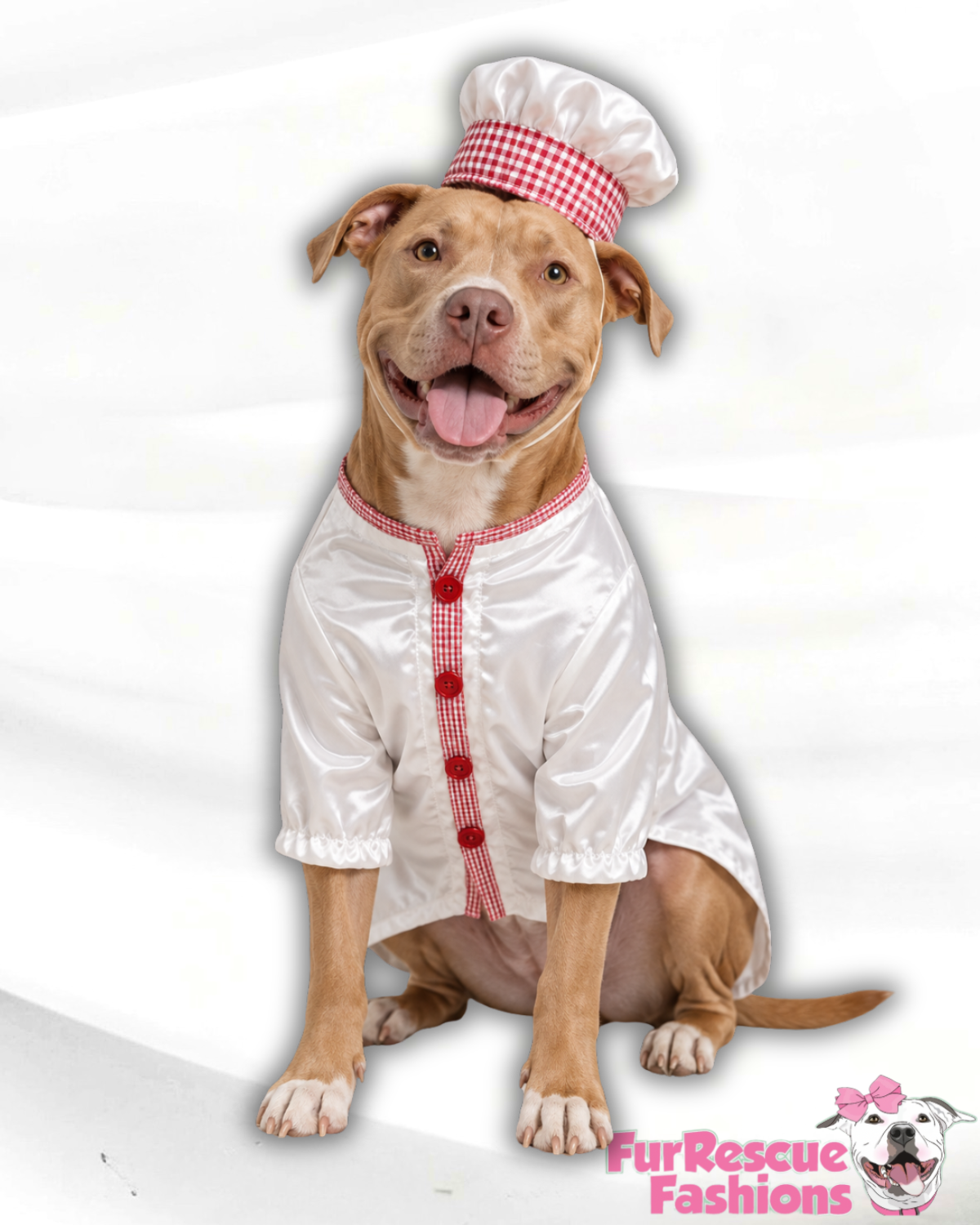 Italian Chef Dog Costume