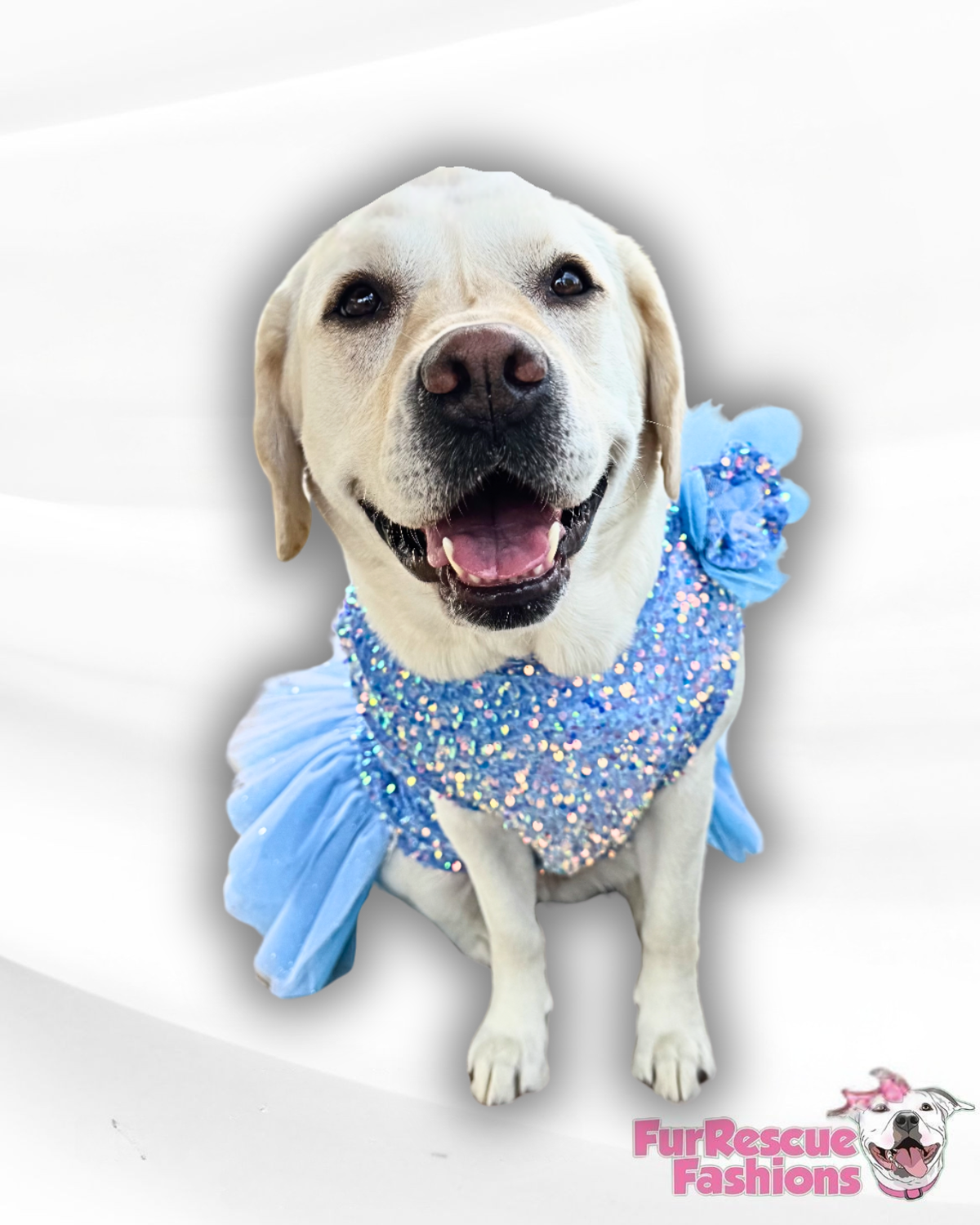 Sparkly Frozen Dog Dress