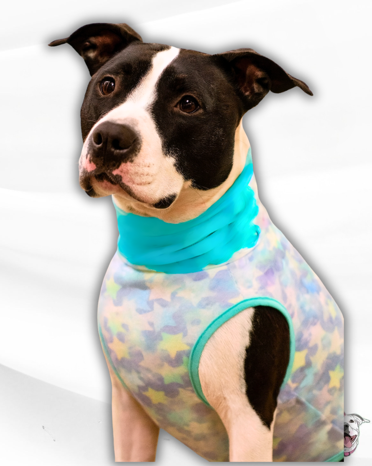 Starry Pastels Dog Pajama with Aqua Neck & Trim/Sleeves