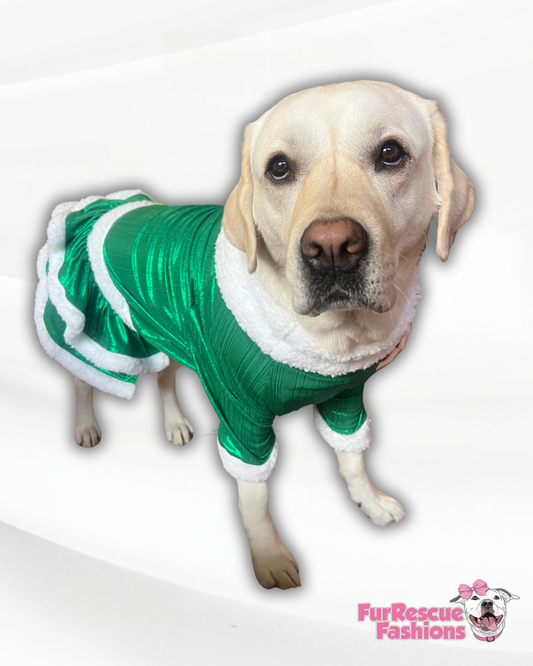 Metallic Green Festive Dog Dress