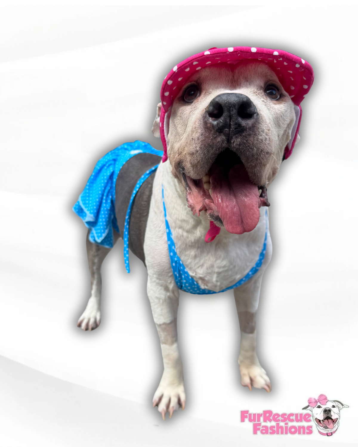 Sexy Dog Bikini (AVAILABLE IN ANY PRE-ORDER PATTERN)