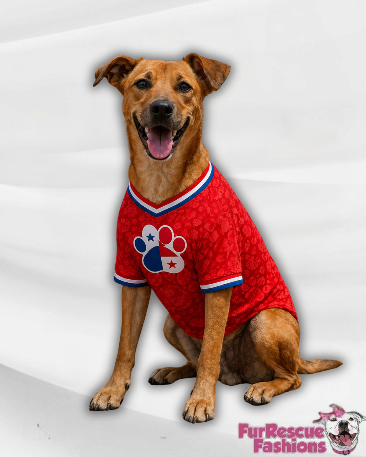 Panama Dog Jersey or Ruffle Dress – Soccer Cup 2026 | Custom Pet Soccer Shirt ⚽️🐾