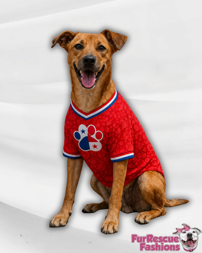 Panama Dog Jersey or Ruffle Dress – Soccer Cup 2026 | Custom Pet Soccer Shirt ⚽️🐾