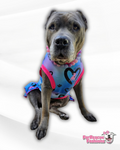 2024 Pittie Awareness Dog Dress With Ruffle / With Sleeves or Sleeveless (Available in any pattern)