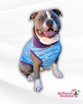 End BSL & Pittie Smiles - Dog Pajama with Purple Neck & Trim/Sleeves (Copy)