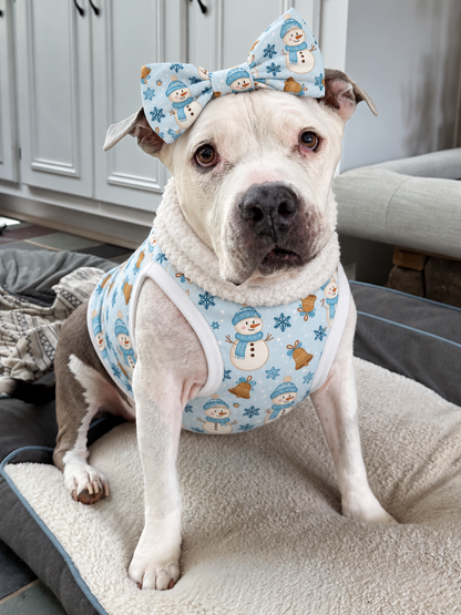 Frosty Friends Ultra-Luxe - Dog Pajama with White Neck & Trim/Sleeves