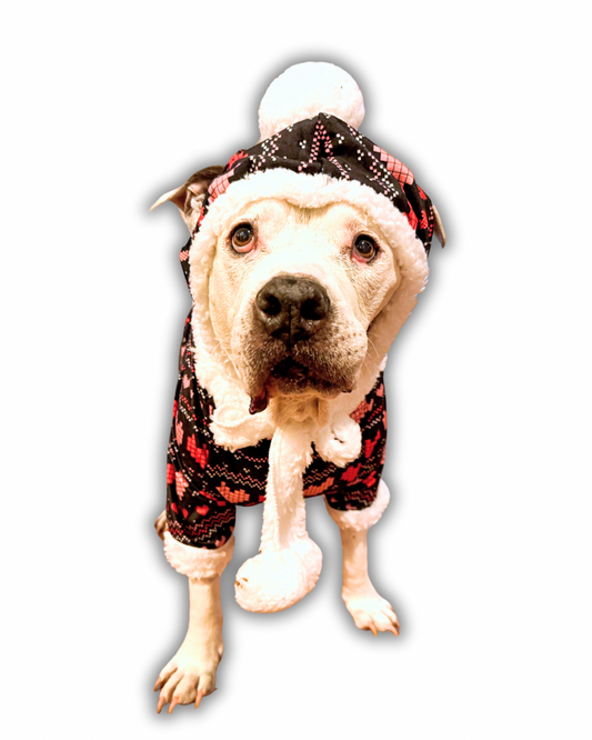 Dog Sherpa Lined Hat with Pompom, Tassels & Ears Opening - Choose Your Print