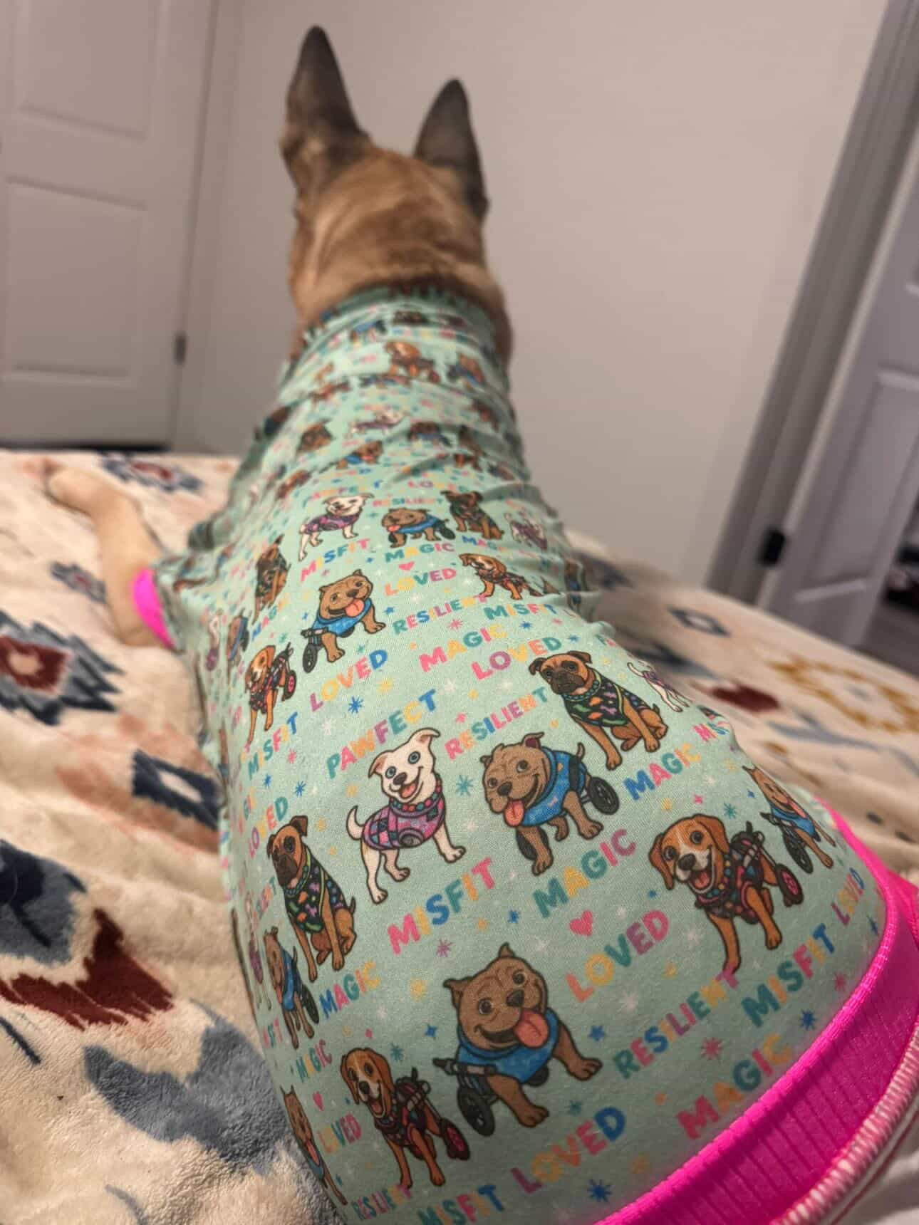 Magical Misfits Dog Pajama with Blue OR Pink Trim