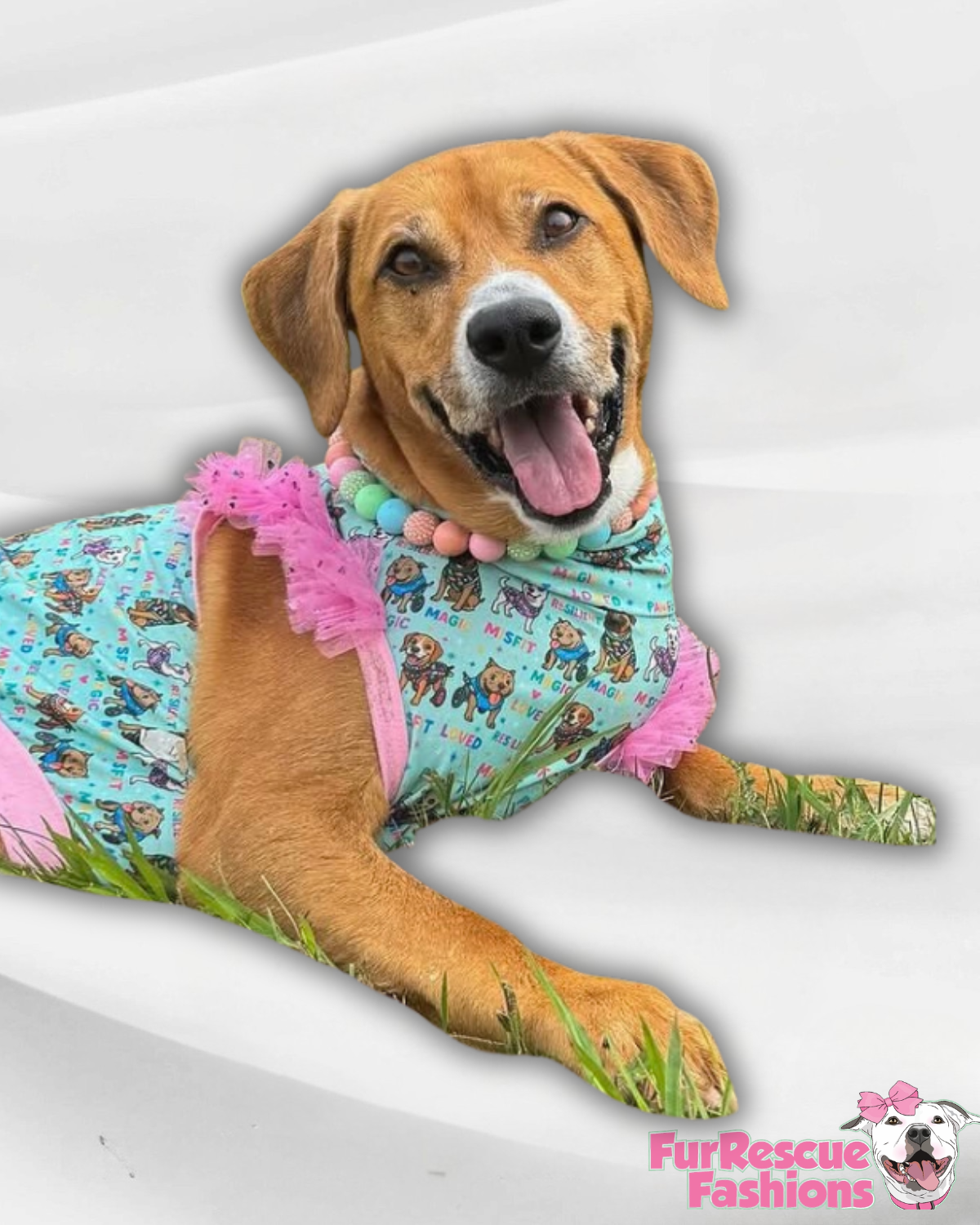 7th Anniversary Dog Shirt With Tulle Accent (Available in any pattern)