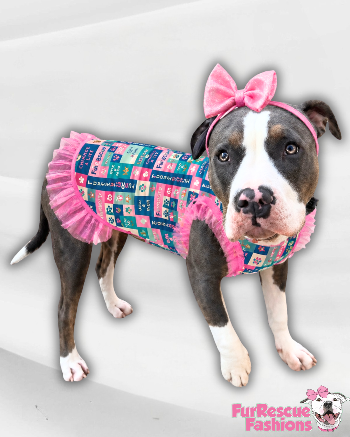 7th Anniversary Dog Shirt With Tulle Accent (Available in any pattern)
