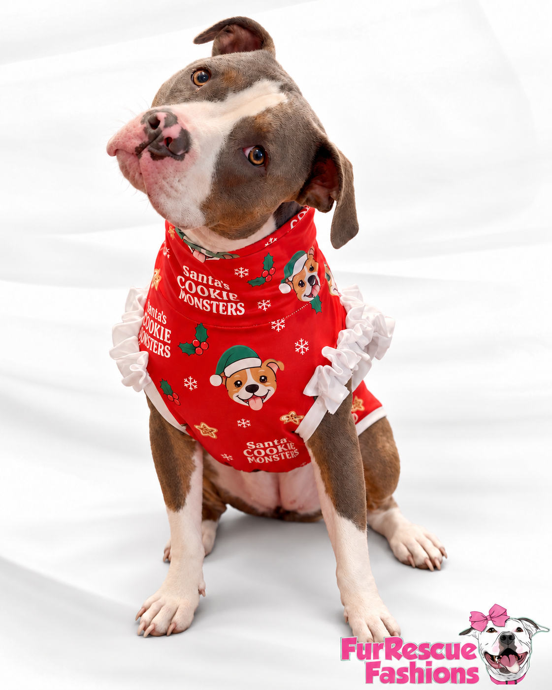 2026 Christmas Dog Shirt With Ruffles