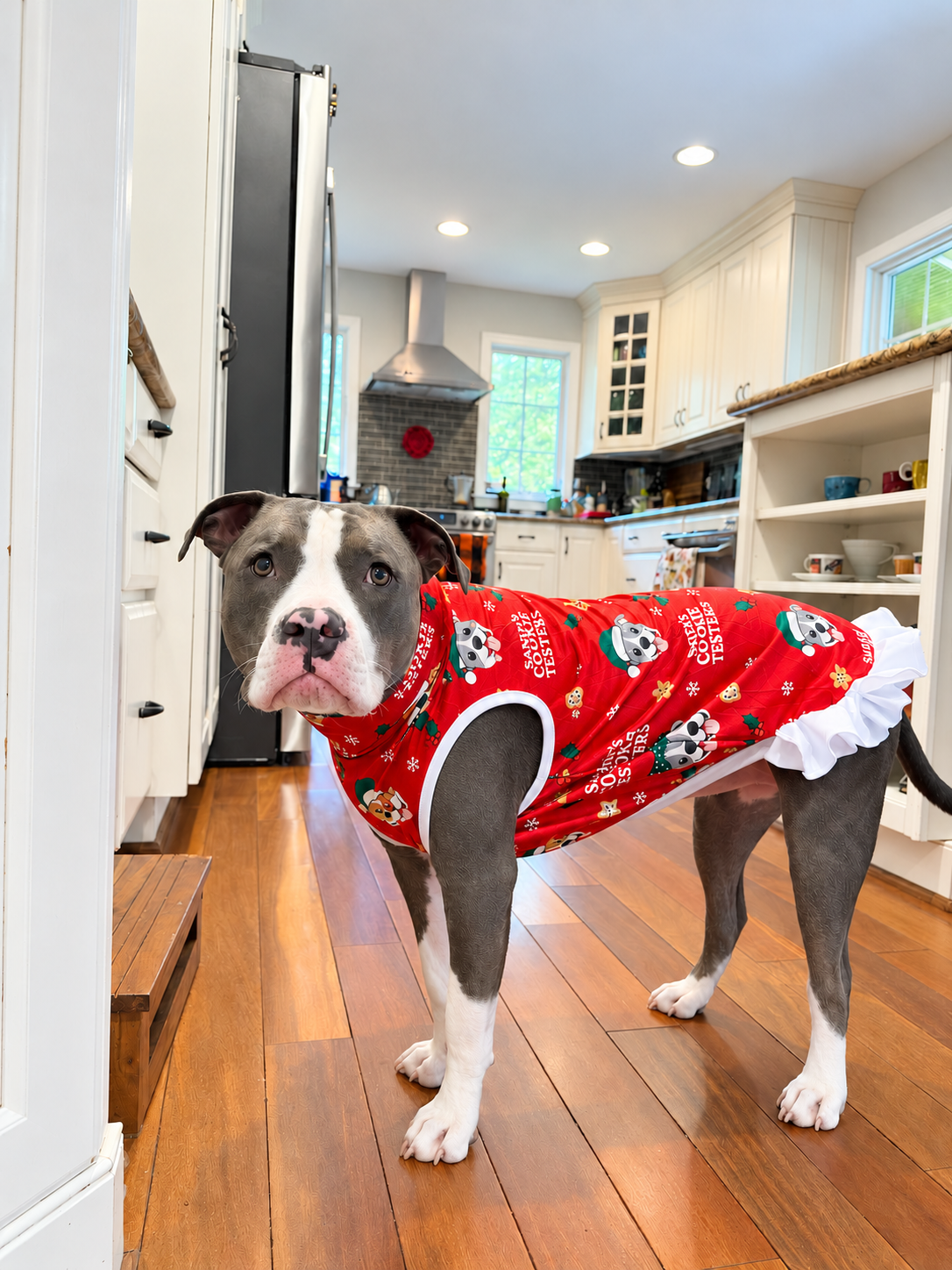 2026 Christmas Shirt With Ruffles On the Booty