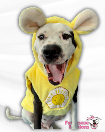 Funshine Bear Light-Up Dog Hoodie – Yellow Fleece Care Bear Outfit with Ears, Tail & Sun Patch
