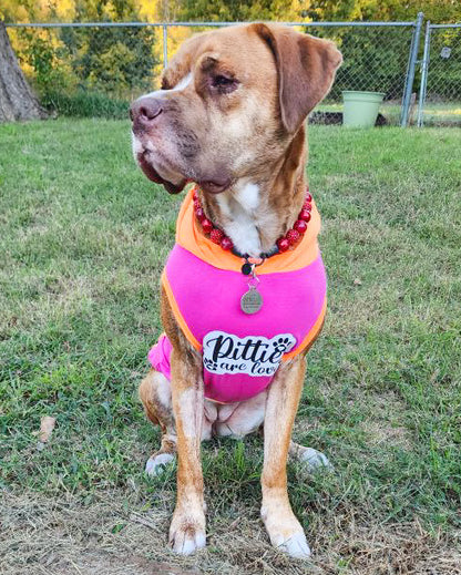 Pitties Are Love PAWJama Fuchsia & Orange