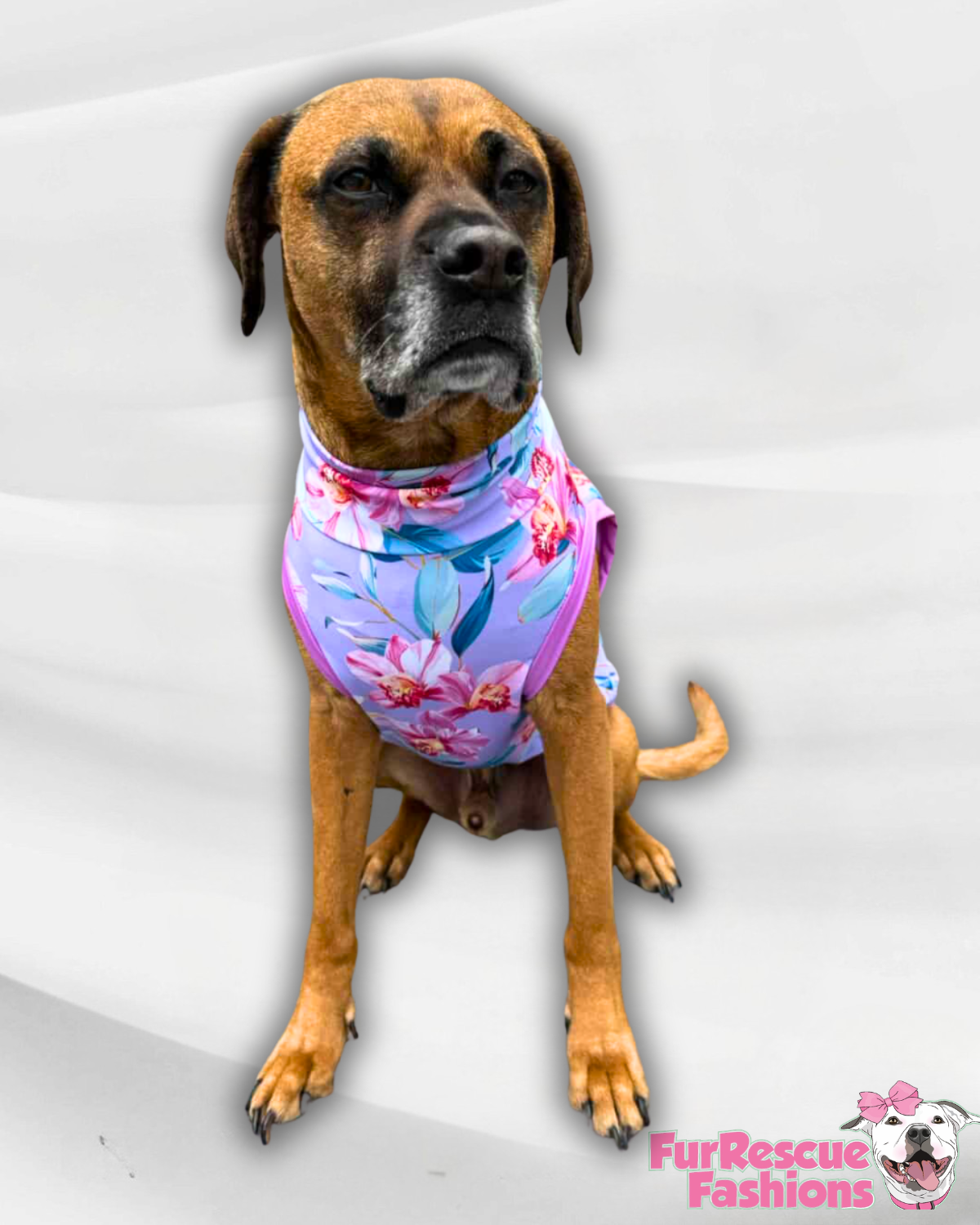Tropical Orchid Dreams - Dog Pajama with Lavender Neck & Trim/Sleeves