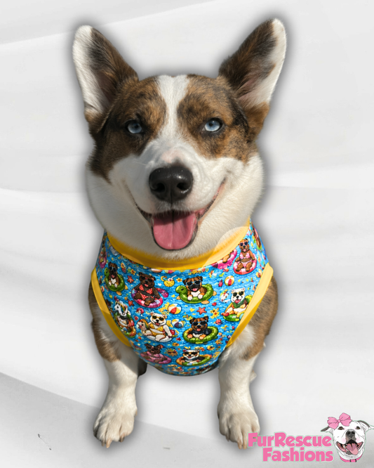 Pup Pool Pawty - Dog Pajama with Yellow Neck & Trim/Sleeves