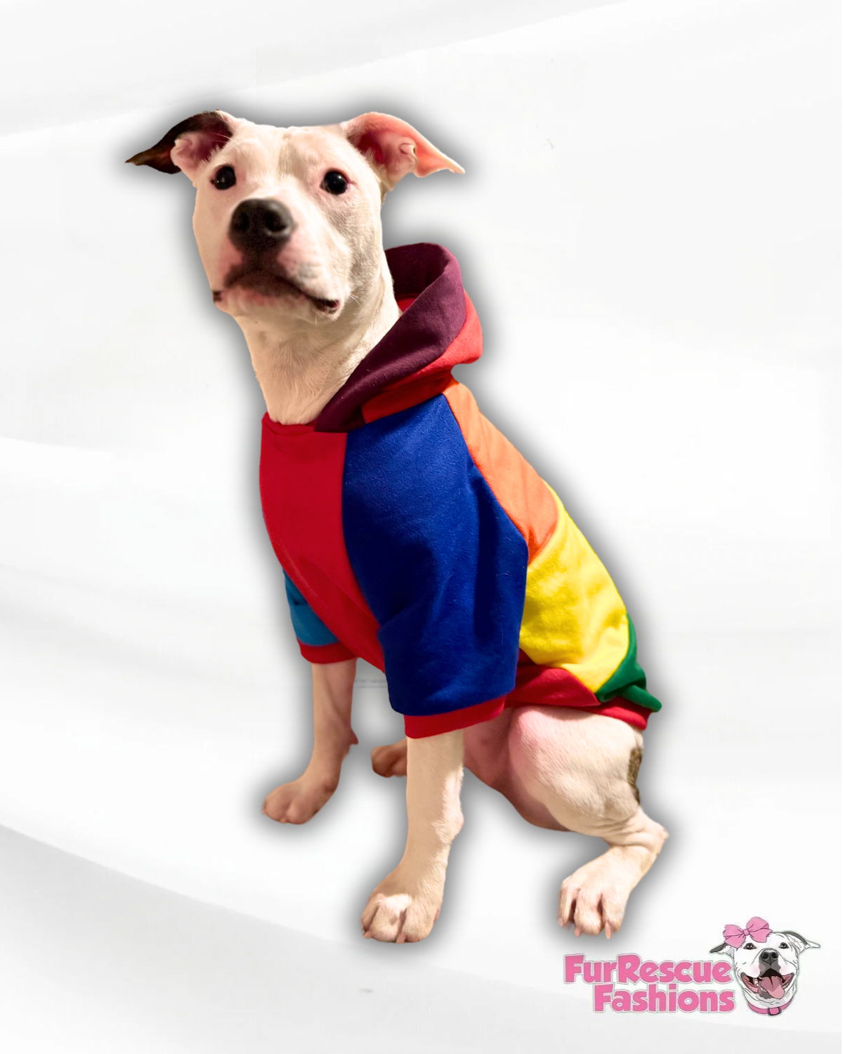 Rainbow Stripes Dog Hoodie