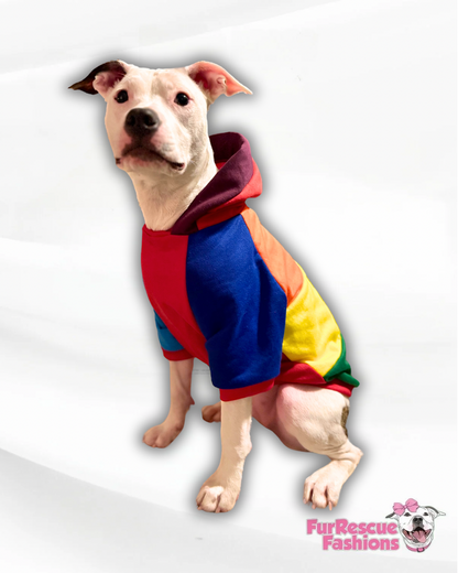 Rainbow Stripes Dog Hoodie