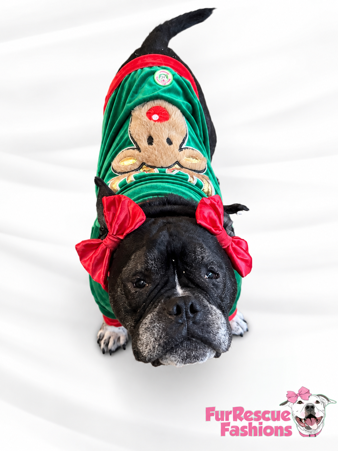 Rudolph’s Cozy Christmas Dog Shirt — Evergreen