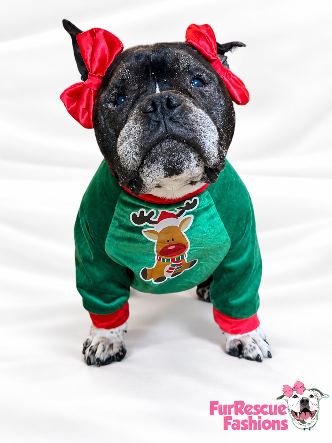 Rudolph’s Cozy Christmas Dog Shirt — Evergreen